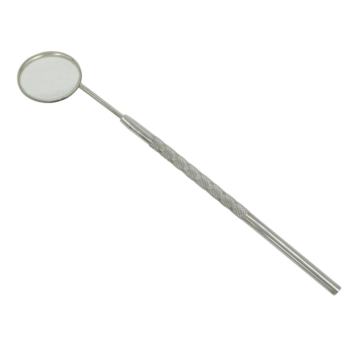 Mundspiegel